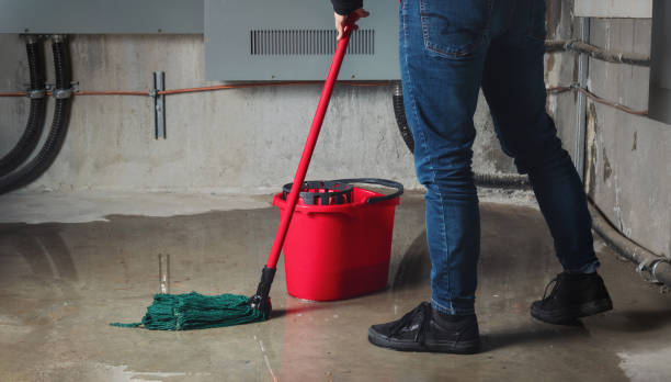 Best Mold removal after water damage  in Caledonia, MS