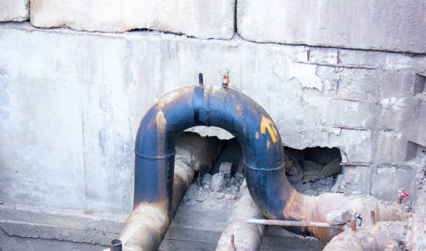 Best Carpet water damage restoration  in Caledonia, MS